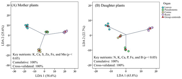 Scatter plot of (A) mother plants and (B) daughter plants nutrients in different organs based on linear discriminant analysis with a stepwise discriminant procedure.