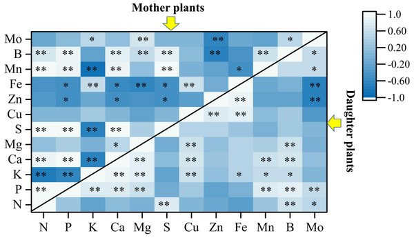 Pearson correlation analyses among plant nutrients in mother plants and daughter plants.