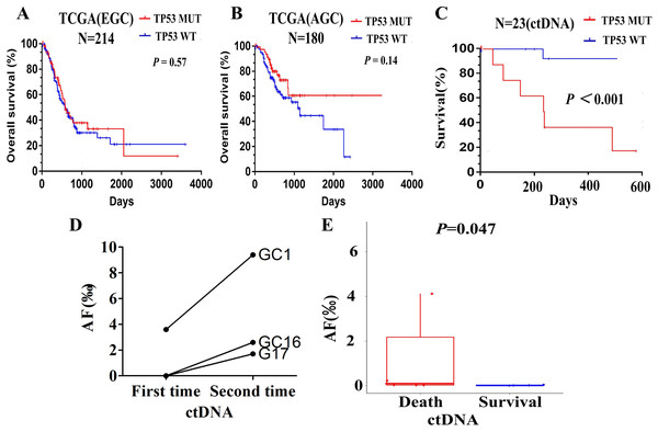 Relationship between TP53 and prognosis of patients with advanced gastric cancer.