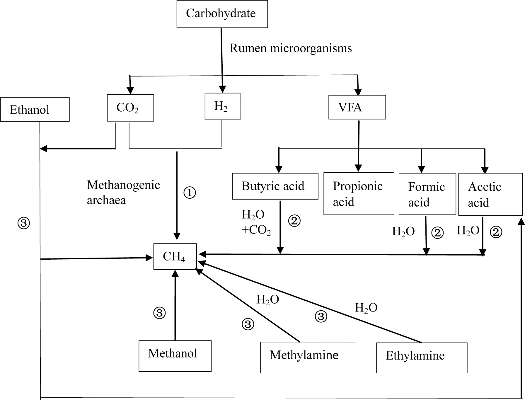 Research progress on the application of feed additives in ruminal ...