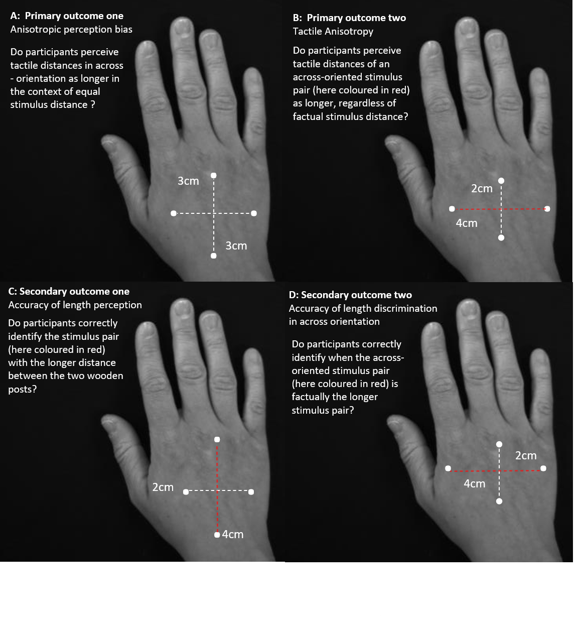 Baseline Hand-Held Body Fat Analyzer - Palm-size