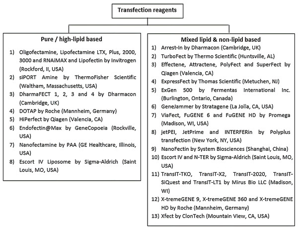 Summary of the commonly used chemical transfection reagents.