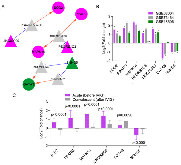 The predicted lncRNA-miRNA-mRNA regulatory networks in Kawasaki disease (KD).