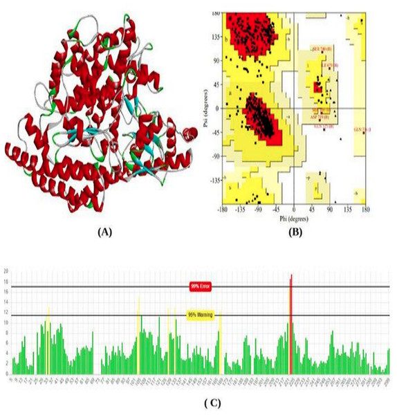 Protein modeled structure.