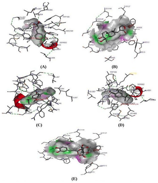 Molecular interaction study.