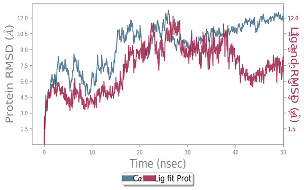 Molecular dynamic simulation study of ACE2-Andrographolide.