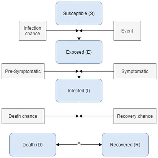 Disease states transformation during infection.