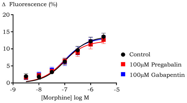 Concentration-response curve of morphine induced hyperpolarization in HEK 293-µ cells after prolonged (60 min) pre-treatment with pregabalin or gabapentin.