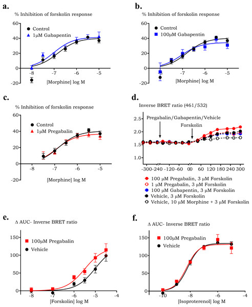 The effect of pregabalin or gabapentin on morphine induced cAMP production in HEK 293 GIRK4 cells expressing human µ receptor.