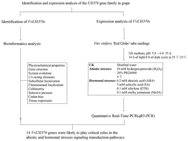 The research route of this study.