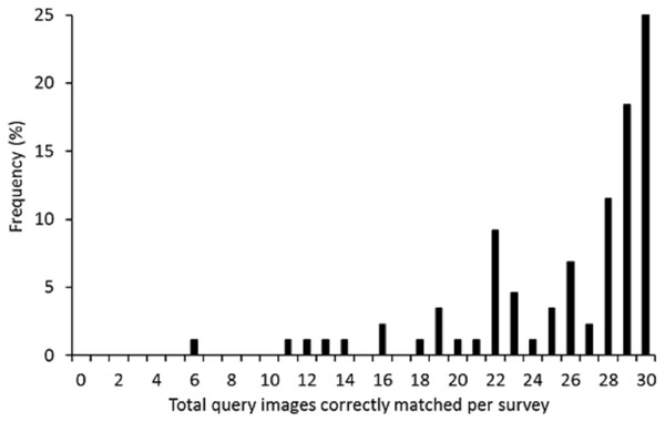 Frequency distribution of the number of query images (30 questions in total) correctly matched per survey event.