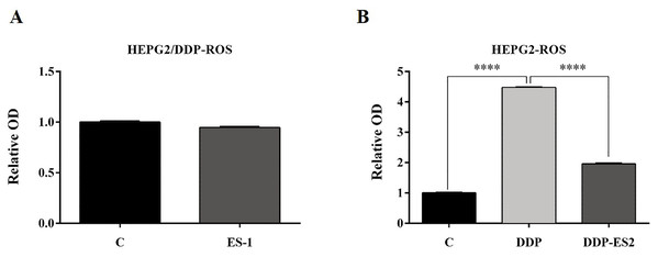 HepG2/DDP cell-derived exosomes confer a cisplatin-resistant property through ROS formation in HepG2 cells in vitro.