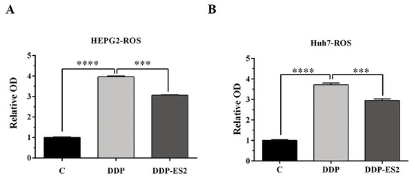 HepG2/DDP cell-derived exosomes induce a cisplatin- resistant phenotype in SMMC-7721 and Huh7 cells through ROS formation.
