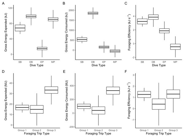 Boxplot comparisons of estimated energy expended, energy consumed and foraging efficiency between Dive Types and Foraging Trip Types in Galapagos sea lions from the El Malecon Colony in November 2012.