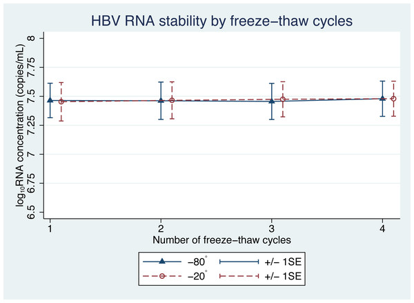 HBV pgRNA concentration over multiple freeze-thaw cycles at −20 °C and −80 °C.