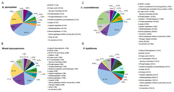 Comparative analysis of putative toxins identified from the transcriptomic datasets.