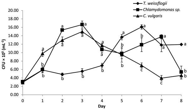 Growth performance of B. infantis co-cultured with different microalgae species (mean ± SD, n = 5).