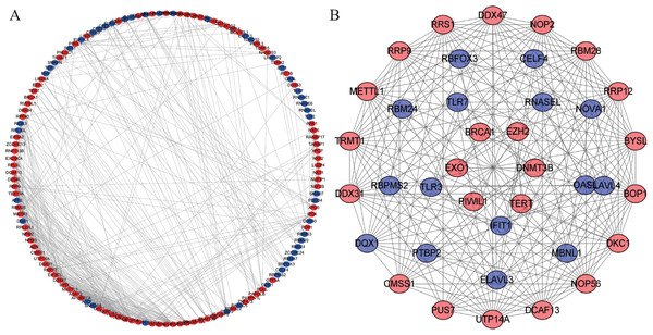 Protein–protein interaction network and module analysis.