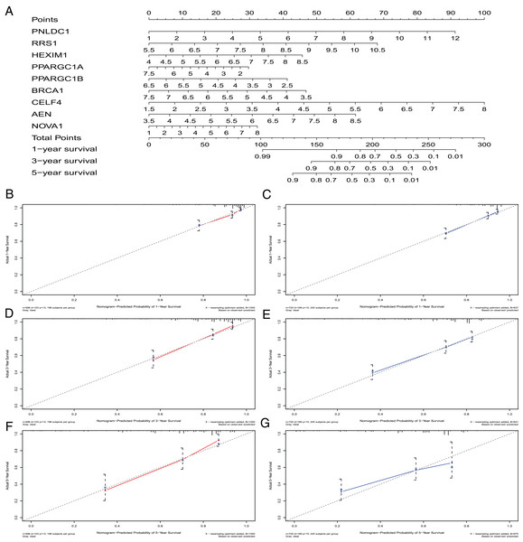 The nomogram to predict 1-, 3- and 5-year OS of CRC patients.