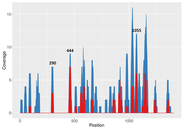 RNAxs results of target prediction within FMDV 3D region.