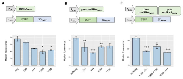 Silencing activity of small RNAs directed against FMDV 3D sequences.