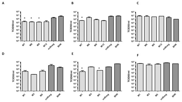 Antiviral activity of cloned amiRNA290 (A–C) and amiRNA1055 (D–F) cell lines.