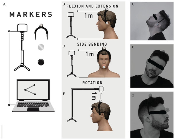 Veloflex setup (A) and participant and Veloflex positions for sagittal (B and C), frontal (D and E) and transverse (F and G) plane movement analysis.