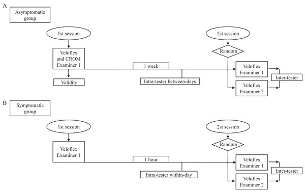 Flow chart represents a process of the study for both asymptomatic group (A) and symptomatic group (B).