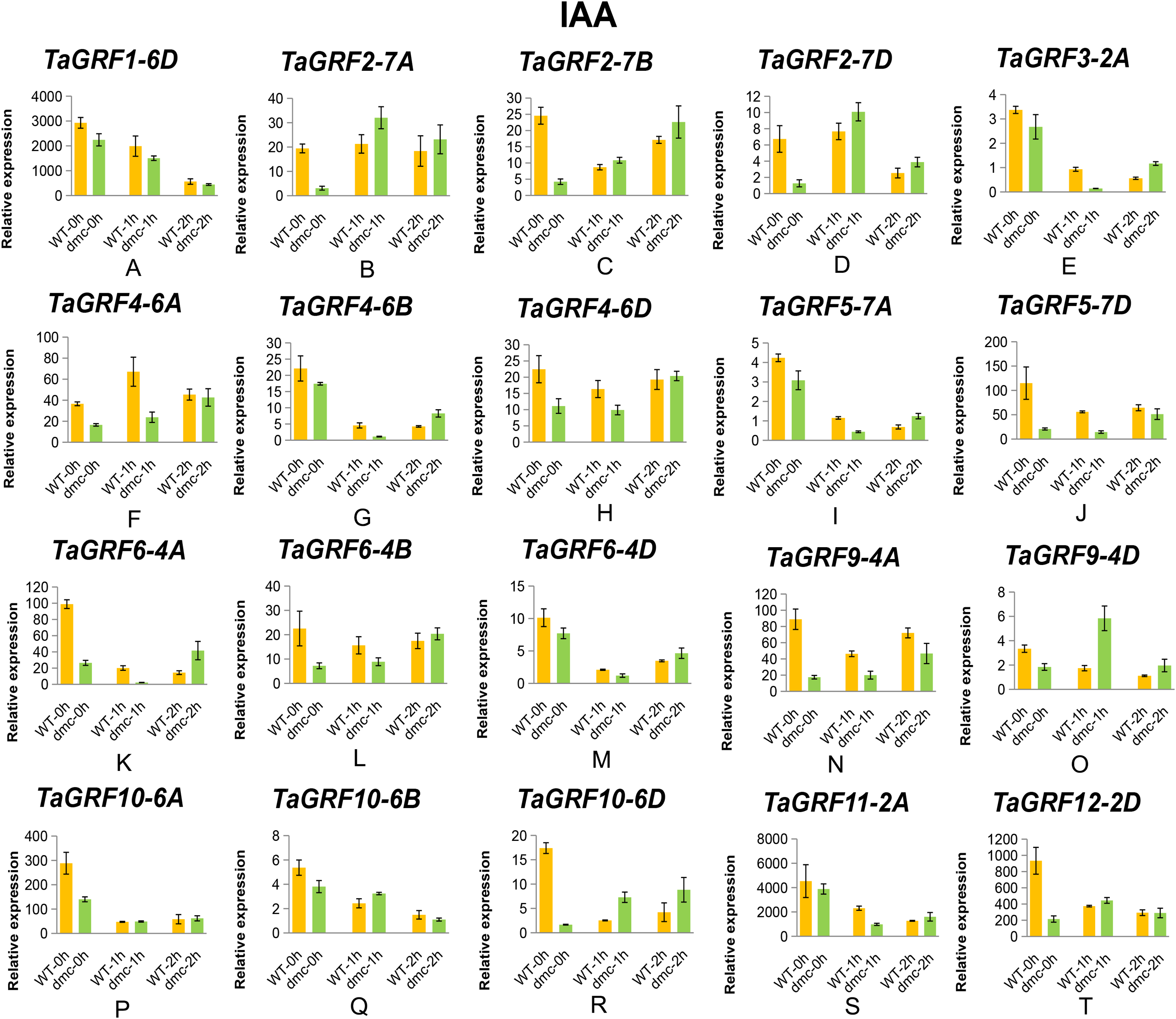 Key Wheat Grf Genes Constraining Wheat Tillering Of Mutant Dmc Peerj