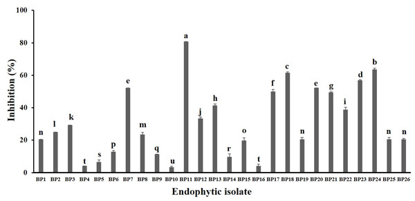In vitro antifungal screening of the endophytic isolates against the mycelial growth of C. acutatum (measured on day 7 of the incubation period).