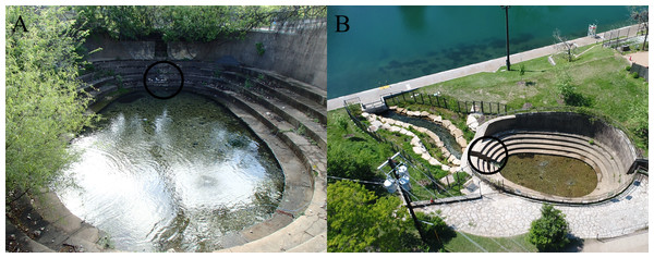 Eliza Spring before (A) and after (B) overland stream reconstruction.