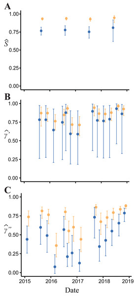 Model-averaged estimates of monthly apparent survival and temporary emigration.