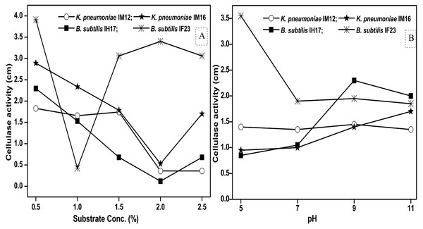 Effect of the concentration of CMC as substrate (A) and pH (B) on cellulose degrading activity of potential bacteria.