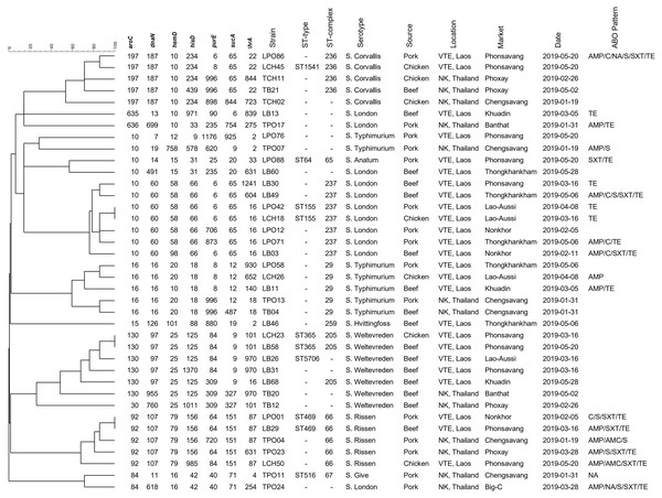 Dendrogram generated using UPGMA algorithms based on MLST profiles, including phenotypic characterization and the epidemiological meta data of Salmonella isolated in the Thai-Lao border area.