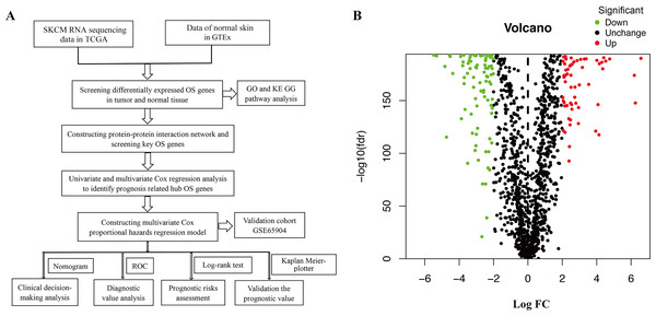 (A) Flowchart describing the schematic overview of the study design. (B) Volcano plot of OS-associated DEGs in TCGA-SKCM cohort.