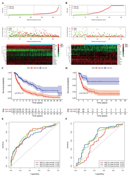 Construction of prognostic model in the TCGA and GSE65904 cohort.