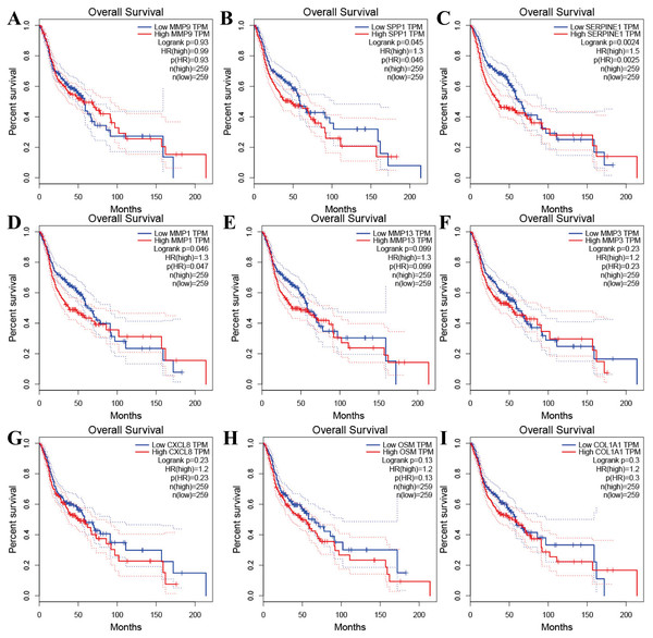 The prognostic information of the nine hub genes.