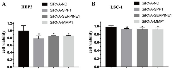 Effects of SPP1, SERPINE1 and MMP1 on LSCC cells proliferation in vitro.