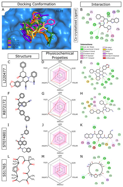 Docking conformations, physicochemical properties, and protein-ligand interactions for the best four molecules.