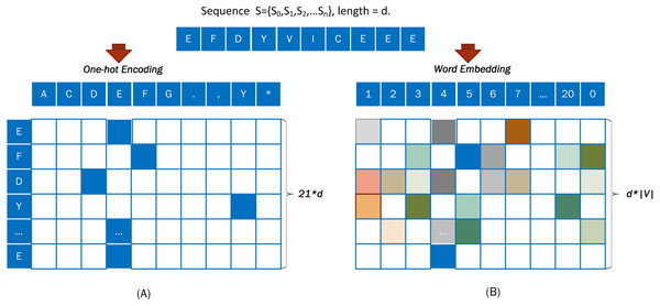 Coding diagram of (A) One-hot encoding and (B) word embedding encoding.