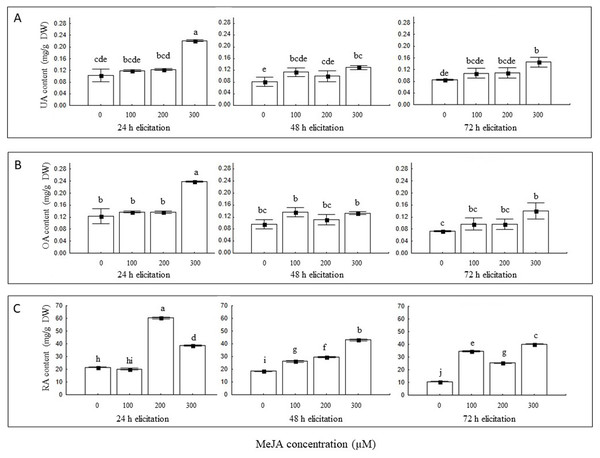 Effect of MeJA concentration and time exposure on ursolic acid (A), oleanolic acid (B), and rosmarinic acid (C) content in hairy roots cultures line 5.
