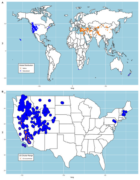 Chukar eBird occurrences and estimated range model.