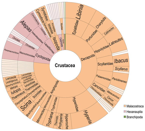 Diversity of Crustacean epibionts.