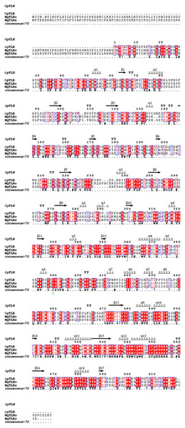 Amino acid sequences of GpTLR13 homologues aligned with MgTLRo and MgTLRs from Mytilus galloprovincialis.