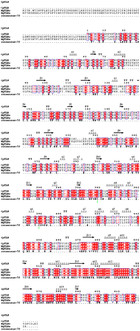 A Toll-like receptor identified in Gigantidas platifrons and its ...