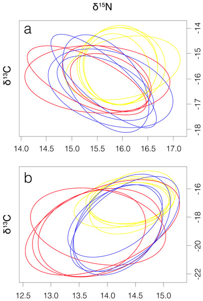 Four elliptical projections of the niche region (NR) of smooth hammerhead Sphyrna zygaena muscle (A) and liver (B) tissue from each nursery area.