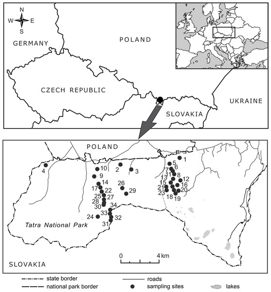 Location of the 34 elevational sites sampled for Bellidiastrum michelii in the Polish Tatra Mountains.