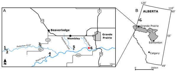 Locality map of main macrofossil localities from the Grande Prairie area and the geographic extent of the Wapiti Formation.