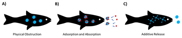 Primary methods of micro(nano)plasticecotoxicity.