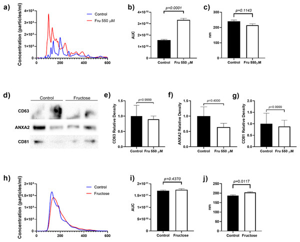 Particle number estimation and size of EVs derived from supernatants from 3T3-L1 cells and rat plasma.